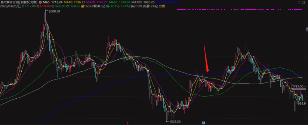 图片[6]-如何运用单根均线？